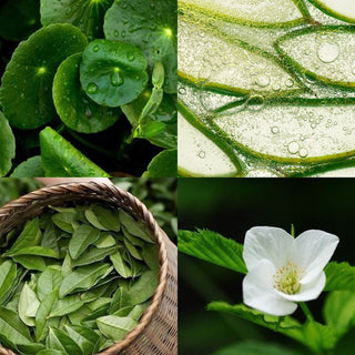 Crema Riparatrice Intensiva alla Cica