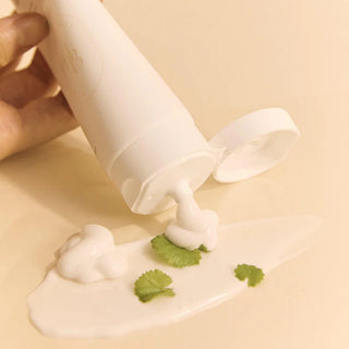 Crema di Centella al Salmone