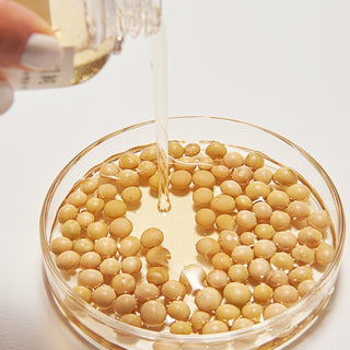 Essenza di fagioli